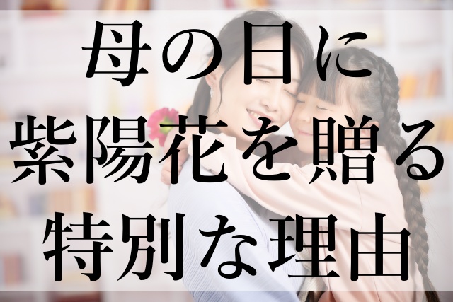 母の日に紫陽花を贈る特別な理由